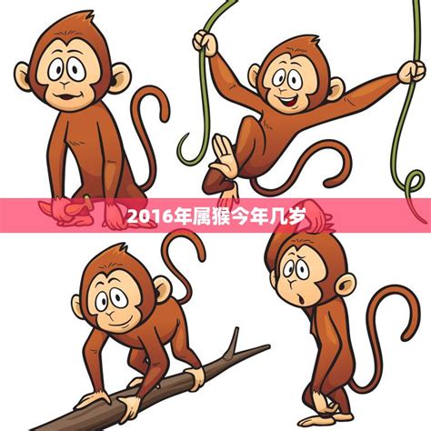 2016 猴 五行|2016年属猴是什么命金木水火土 2016年属猴是什么命五行缺什么